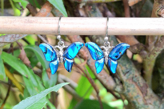 Blue Abalone Shell Butterfly Earrings - Choose Your Ear Wire