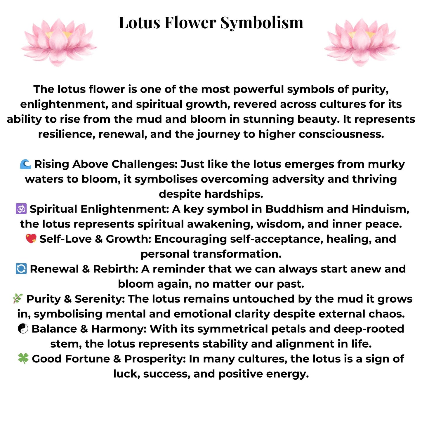 Abalone Shell Lotus Flower Earrings - Choose Your Ear Wire